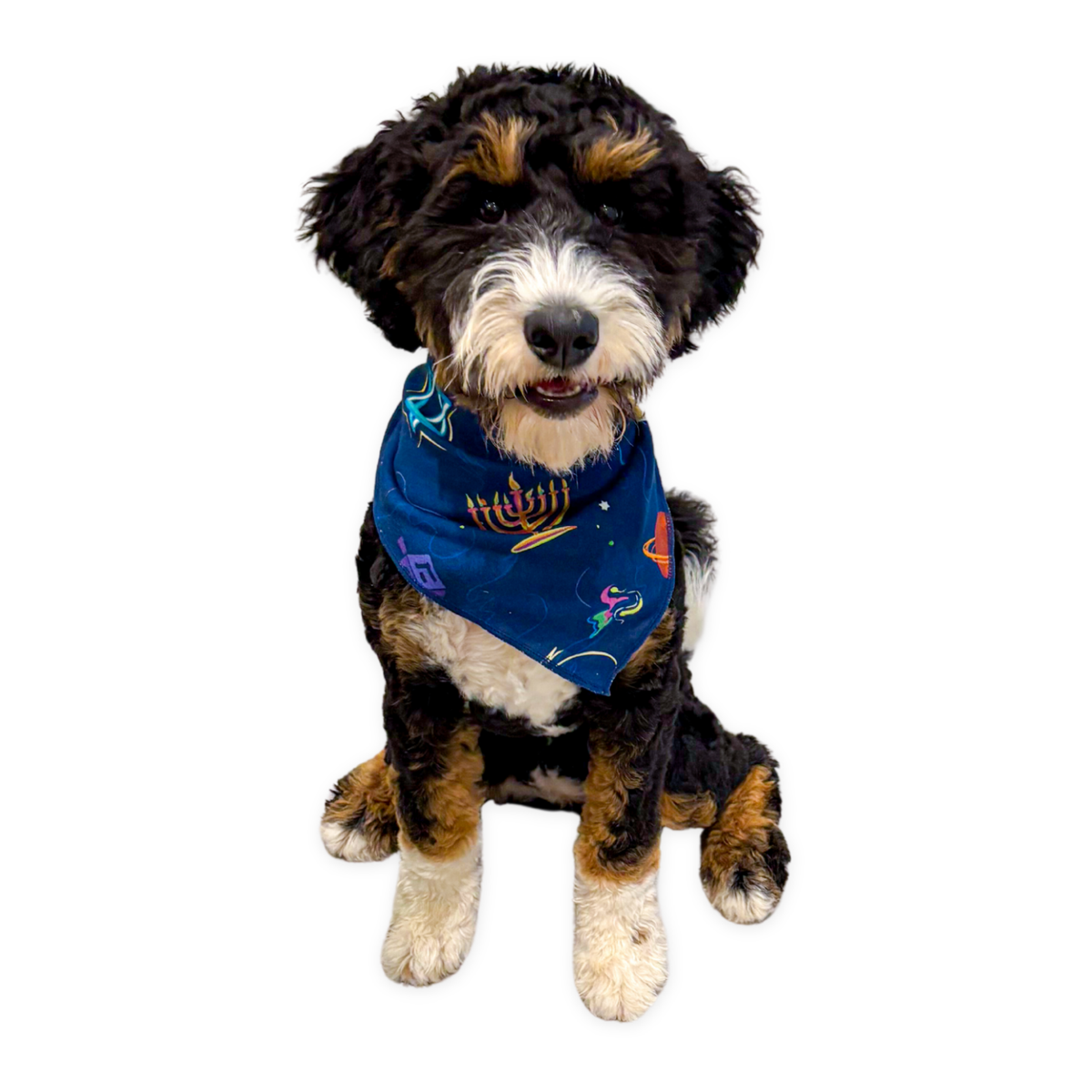 Pet Hanukkah Space Bandanas
