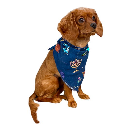 Hanukkah Space Pet Bandana